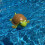 Floating Chlorine Dispenser for Pool with Cute Turtle Design, Compatible with G5E3 Tablets, 1pc Cleaning Float 5