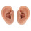 Silicone Ear Model Lifelike Flexible Reusable Left 1