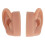 Silicone Ear Model Lifelike Flexible Reusable Left 8