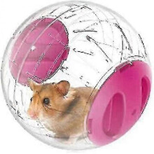 12cm Gym Ball for Hamsters And Mice Small Animal Activity Toy Exercise Ball for Dwarf Hamster, 3 Colors To Choose (pink)
