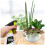 Empty Trigger Sprayer Atomiser Hand Spray Bottle Plants Garden Cleaning Flowers 0.5L 12