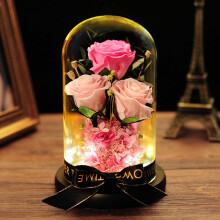 Handmade Preserved Real Rose in Glass Dome, Eternal Rose Blossom for Birthday, Wedding, Valentine's Day Gifts