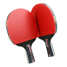 Table Tennis Bat Set for Age 1 - 2 Pieces with Comfortable Grip and Excellent Control for Training and Games