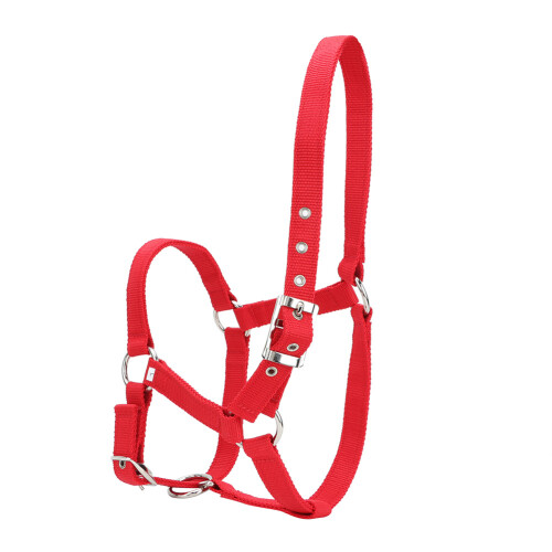 High Density 6mm Thickened Webbing Horse Bridle 2