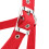 High Density 6mm Thickened Webbing Horse Bridle 9