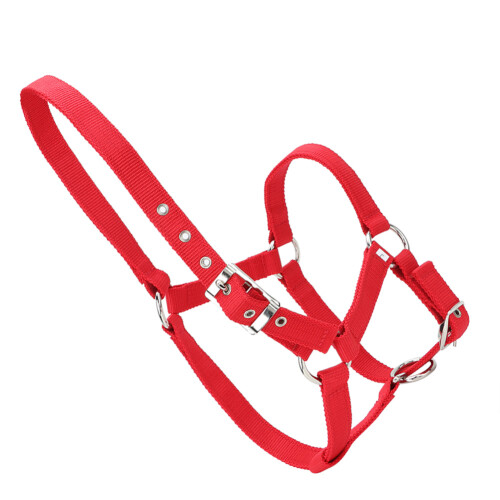 High Density 6mm Thickened Webbing Horse Bridle 1