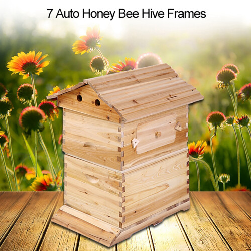 Super Beekeeping Brood House Box For 7 Auto Honey 1