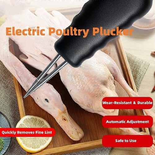 Plumeuse électrique pour volailles (noire) 1