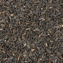 Hungry Wings Black Sunflower Seeds 1kg | Wild Bird Food | High Energy Seed for Garden Birds & Finches