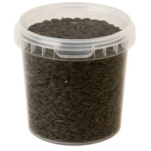 Hungry Wings Black Sunflower Seeds 1L Tub | High Energy Wild Bird Food Premium