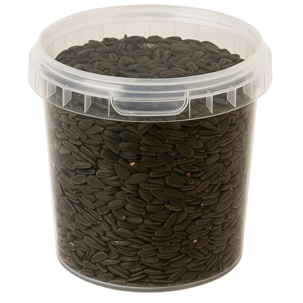 Photos - Bird Food Hungry Wings Black Sunflower Seeds 1L Tub | High Energy Wild  Premium HW106