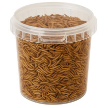 Hungry Wings Dried Mealworms 1L Tub | Natural High Protein Wild Bird Food Treats