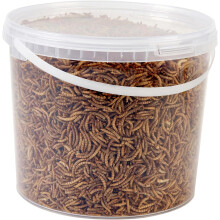 Hungry Wings Dried Mealworms 5L Tub | Wild Bird Food | High Protein Natural Insect Treats for Garden Birds