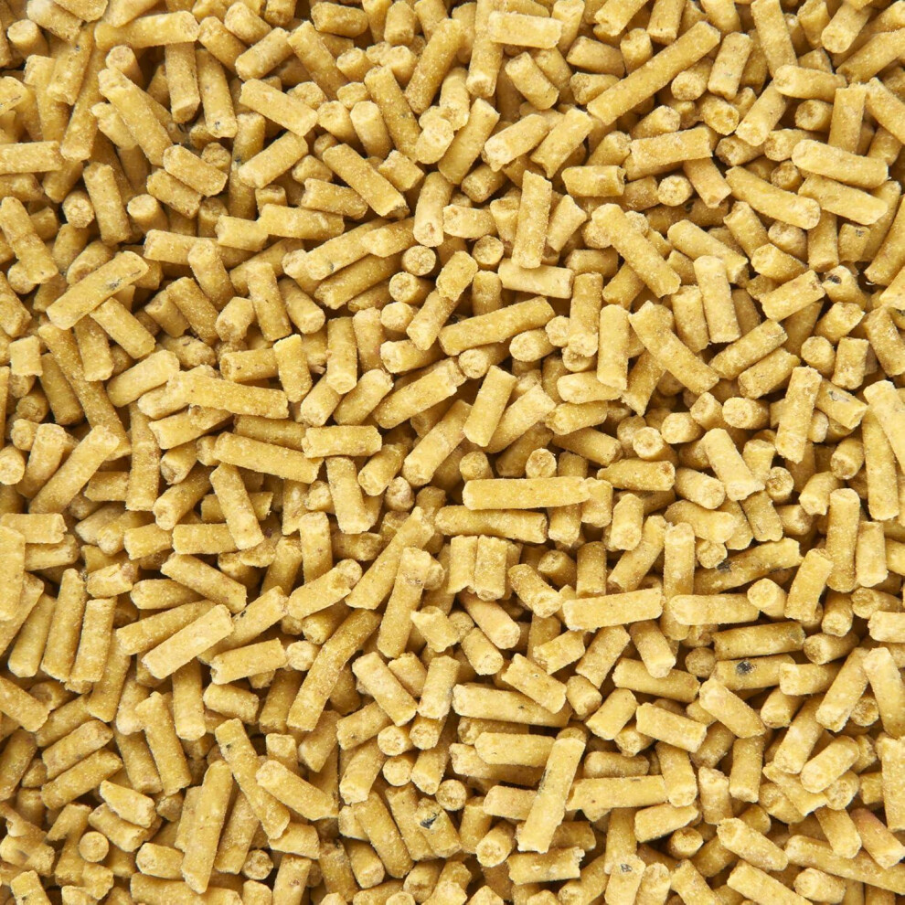 Hungry Wings Insect Suet Pellets | Wild Bird Food | High Energy Protein-Rich Suet For Garden Birds 1Kg