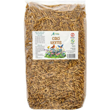 Hungry Wings Calci Worms HW24 - High Calcium Protein Wild Bird Food for Robins, Tits, Blackbirds & More