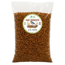 Hungry Wings Dried Mealworms 2.5L Refill | Wild Bird Food | High Protein Natural Insect Treats