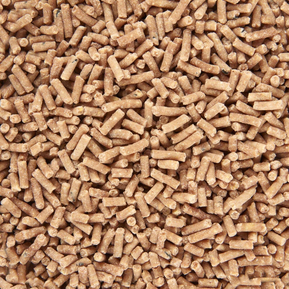 Hungry Wings Mealworm Suet Pellets | Wild Bird Food | High Energy Insect-Rich Suet Treats 2Kg