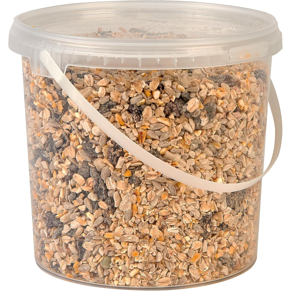 Hungry Wings No Mess 2.5L Tub | Wild Bird Seed Mix | Premium Husk-Free High Energy Garden Bird Food