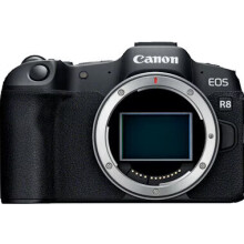 Hybride Canon Kamera Hybride EOS R8 nackt