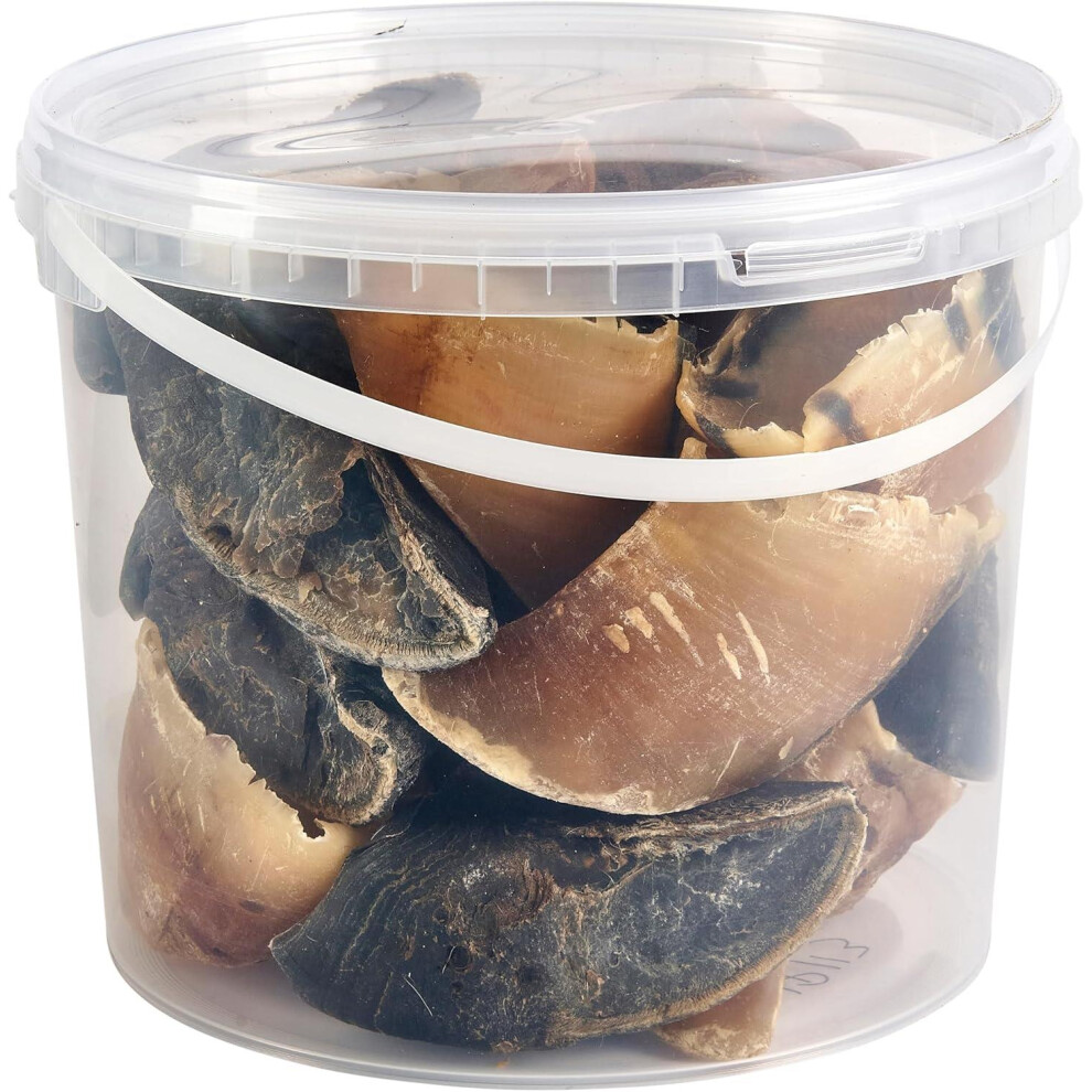 Hungry Pets Cow Hooves Tub | Natural Long Lasting Beef Dog Chews Bulk Pack 5L