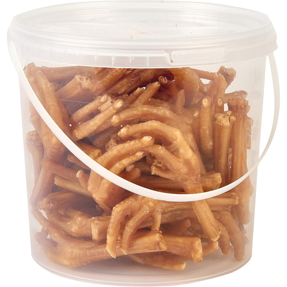 Hungry Pets Chicken Feet 2.5L Tub | Natural Dog Treats | High Protein Crunchy Chews For Teeth & Joints