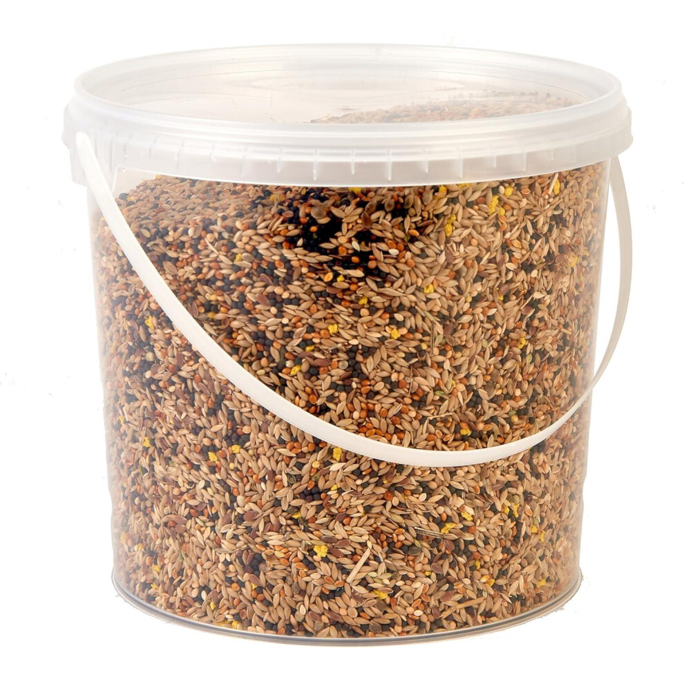 Premium Canary Seed Mix Food, 2.5L Tub - Image 3
