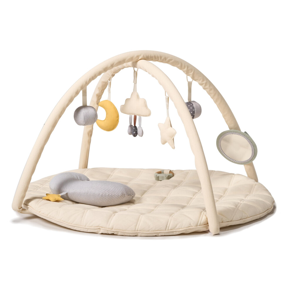 Minidream Baby Play Mat & Activity Gym For Newborns, Tummy Time Pillow Playmat With Six Detachable Toys, Baby Safe Mirror, Developmental Play Gym Pad