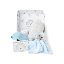 Baby Box Shop - 5 Newborn Essentials Ideal as Christening Gifts for Boys, Includes a Blue Elephant Baby Comforter, Flannel Wrap, 2x Muslin Cloths & G