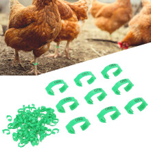 100 pezzi di anelli per zampe di pollo verdi con numeri