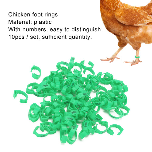 100 pezzi di anelli per zampe di pollo verdi con numeri 2