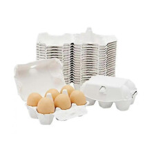 40 Pieces Paper Egg Cartons for Chicken Eggs Pulp Fiber Holder Bulk Holds 6 Count Eggs Farm Market TW