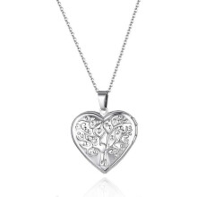 Stainless Steel Photo Pendant Opens Photo Picture Amulet Circle Hanging Chain TW