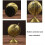 (Bronze) Globe Decor Vintage Style Smooth Texture Widely Applied Brass Sphere Globe Iron Display For Study Room Tw 3