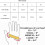 (L) Half Finger Gloves Motorcycle Bicycle Riding Cycling Summer Spring 5