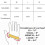 (M) Half Finger Gloves Motorcycle Bicycle Riding Cycling 5