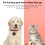 4 Stück Anti-Lost Wallet Key Pet Finder GPS Tracker 4