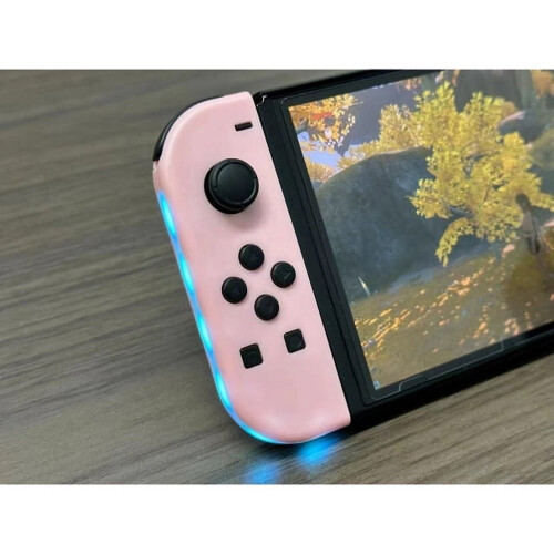 Switch Controller für Nintendo Switch Gamepad 2