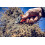 Gartenschere, Compact, Orange, 20 x 6 x 2 cm 15.107 2