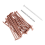 25 Pcs Copper Nails to Killing Trees,3.5 Inch Pure 3