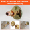 Compression Sleeve Puller Tool Ferrule 6