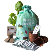 Scott&Co. Salad Seed Kit, 10 Different Vegetable Seed Varieties to Grow Your Own, Tomato, Lettuce, Cucumber. Veg Seeds, Pots, Labels and Compost.