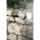 Kärcher K?rcher 2.642.706.0 Splash Guard, Transparent 5