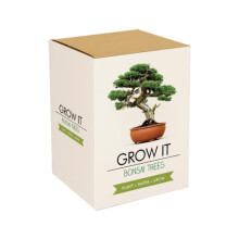 Gift Republic GR200006 : Grow It. Grow Your Own Bonsai Trees, 12.0 cm*12.0 cm*12.0 cm