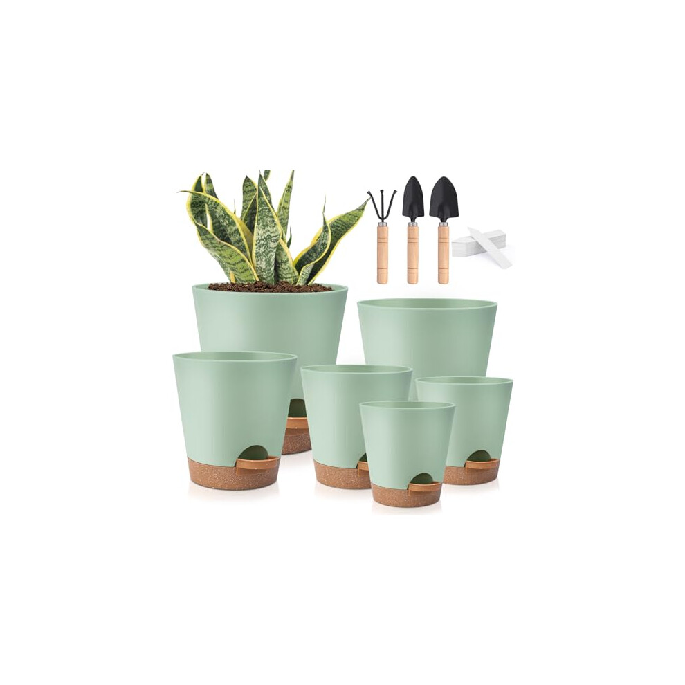 Kiytarboo 6 Pack Self Watering Pots Indoor, Plastic Flowers Pots For Indoor Outdoor Plants, Self Watering Planters With Drainage Hole And Saucers,Planter For