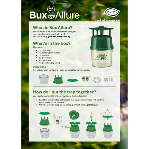 BuxAllure - Box Tree Moth Pheromone Refill - x4 Pheromones 1