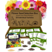 Flower Seed Selection Box - 20 Premium Seed Varieties with High Germination Rate. Natural, Sustainable & GMO Free. Instruction Booklet Included,