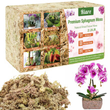 Riare 1kg Natural Sphagnum Moss Dried Forest Moss Long Fibered Orchid Moss Potting Mix for Potted Plants Carnivorous Plants Moss Orchid Potting