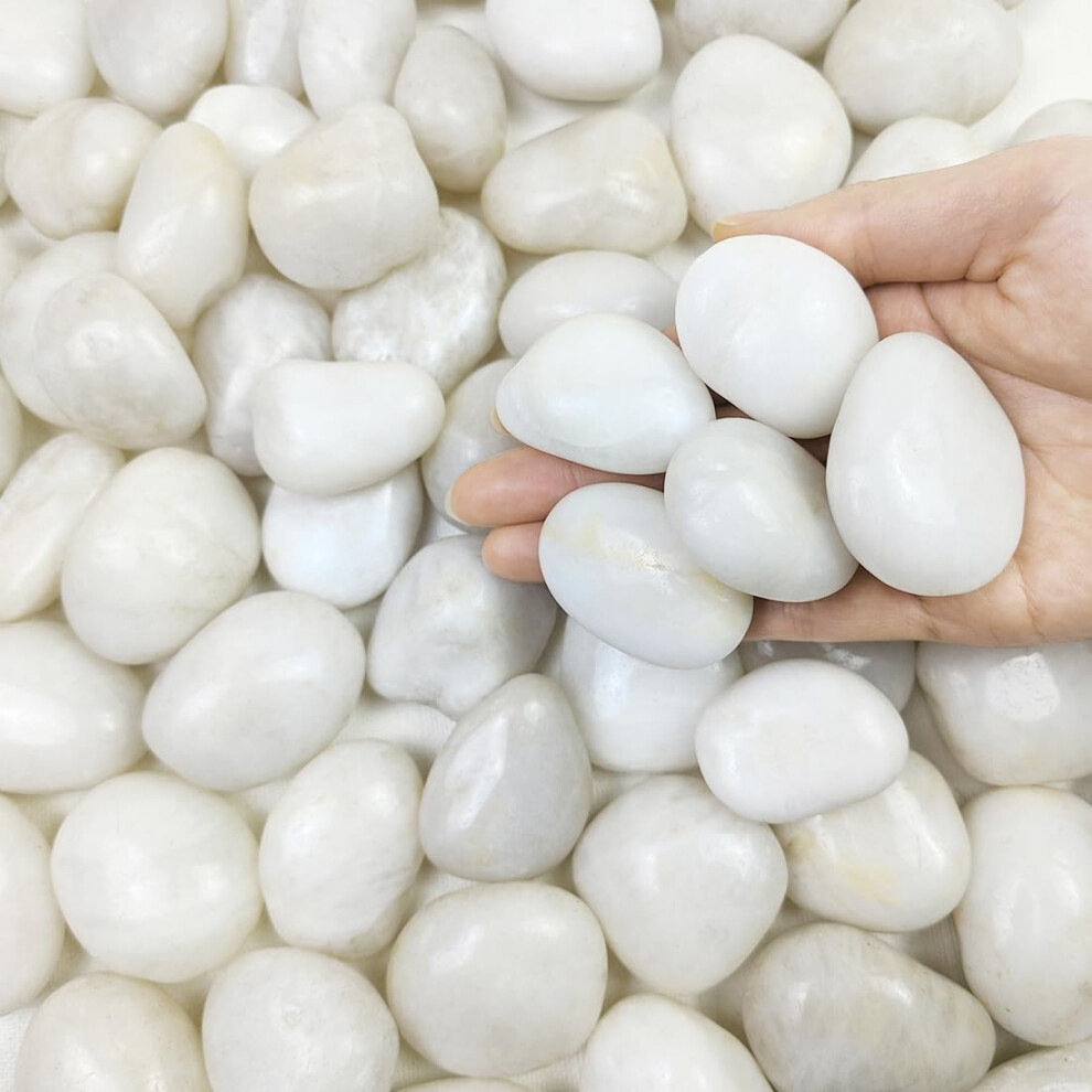 Fantian 4 Lbs White Pebbles For Plant Pots, 30-50 Mm White Stones For Garden Potted Plants Landscaping Fish Tank Fountain Vase Fillers And Outdoor