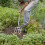 Spear & Jackson Spear & Jackson 4550DF Traditional Stainless Steel Digging Fork 4