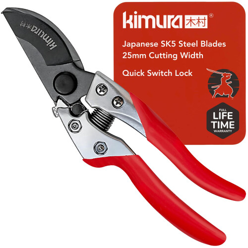Kimura? 8